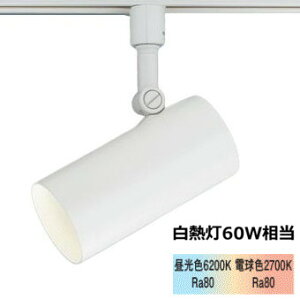 �p�i�\�j�b�N �_�N�g���[���p�X�|�b�g���C�g 60�`���� ���F LGS1503LU1