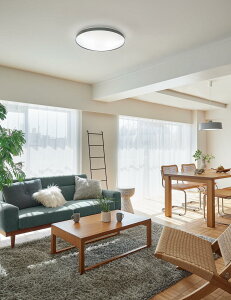 pi\jbN V[OCg LGC51166 F ykCEkEBʓrz