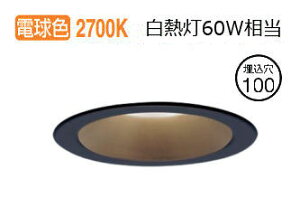 �p�i�\�j�b�N �x�[�X�_�E�����C�g LGD1109LLE1 �H���K�v