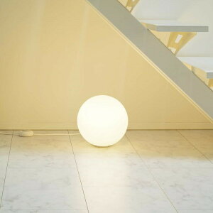 �p�i�\�j�b�N �X�^���h MODIFY �d���F SF251WZ �t���A���C�g