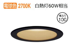 �p�i�\�j�b�N �_�E�����C�g XAD1121LKCE1(LGD9101K+LLD2020LCE1) �H���K�v