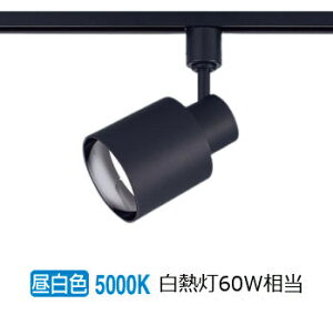 �p�i�\�j�b�N �_�N�g���[���p�X�|�b�g���C�g XAS1503NCB1(LGS9503+LLD2000NCB1) ���邳�t���[