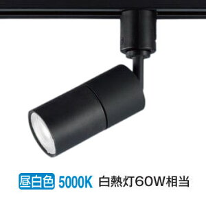 �p�i�\�j�b�N �_�N�g���[���p�X�|�b�g���C�g XSZP1507NCB1 (LGS9508+LLD2401NCB1)����