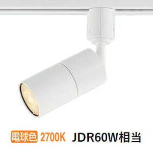 �p�i�\�j�b�N �_�N�g���[���p�X�|�b�g���C�g XSZP1525LCB1 (LGS9507+LLD2420LCB1)����