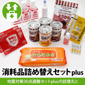 消耗品詰替えセットplus（地震対策30点避難セットplus用）賞味期限・使用期限が切れた方に 防災グッズ 防災セット 防災用品 非常用 入れ替え 詰め替え