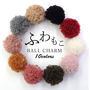 y݌Ɍzӂ{[`[ 10 10 sAX wAANZT[