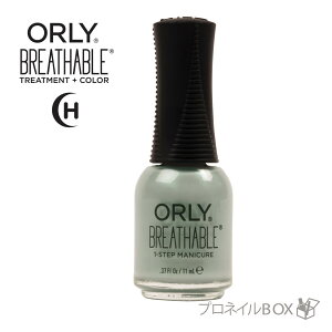 I[ClC ORLY u[Uu 2070025 lCbJ[ 11mL AGOboC 1Xebv }jLA   ORLY JAPAN cX