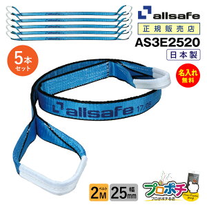 【メーカー直送】AS3E2520 スリングベルト 幅25mm 2m 5本 ベルト荷締機 3等級JIS規格品 allsafe オールセーフ 玉掛け 繊維スリング 吊り上げロープ 吊りロープ トラック用品