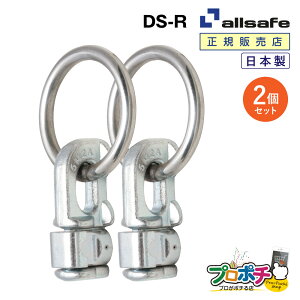 y[J[zDS-R _uX^bhtBbeBOiOtj2 Œ DIY gbN ݌ Hpi H H ы  allsafe I[Z[t gbNpi