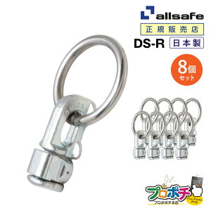 y[J[zDS-R _uX^bhtBbeBOiOtj8 Œ DIY gbN ݌ Hpi H H ы  allsafe I[Z[t gbNpi