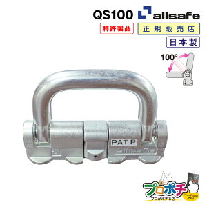 y[J[zQS100 NgX^bhtBbeBO 100x Œ DIY gbN ݌ Hpi H H ы  allsafe I[Z[t gbNpi