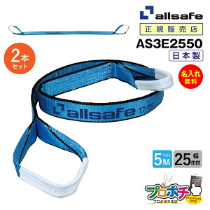 y[J[zAS3E2550 XOxg 25mm 5m 2{Zbg xgג@ 3JISKii allsafe I[Z[t ʊ| @ۃXO ݂グ[v ݂胍[v gbNpi