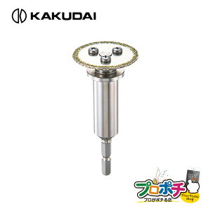 yX[p[SALEzyiz 6079 ZpCi[Jb^[ dE[dhCo[Ή ] ؍H JN_C/KAKUDAI