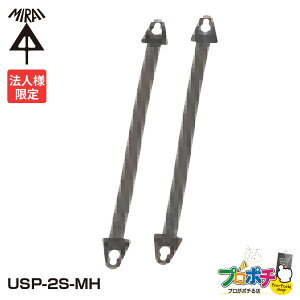 �y���������}���\���z�y5�̂����z�y�@�l����z �y10�Z�b�g�z�����H�� US���b�g�p �~�~�q�� USP-2S-MH �w�����b�g�p �t���i �i2�{1�g�j���q�� ���R