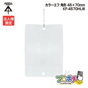 yX[p[SALEzy@lz y10Zbgz H KF-4570HLW J[Gt p` 10 45×70mm Rt220mm vX`bN D 