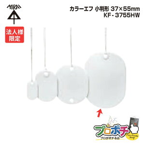 yX[p[SALEzy@lzy5Zbgz H KF-3755HW ` J[Gt 20 37×55mm Rt120mm vX`bN D