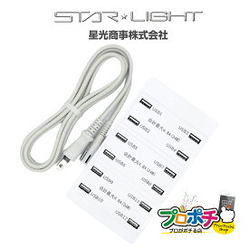 【在庫有】USB充電器 12ポート SK-CH12A72WPO USB 充電器 USB Type-A 同時使用可能 星光商事 スターライト