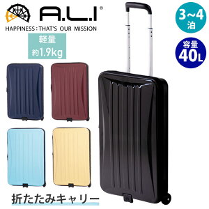 X[cP[X A.L.I AWAQ[W s n[hP[X t@Xi[P[X ܂肽 X y J[g L[ J[g Locobox 3`4 40L L[obO L[P[X obO 