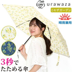 P ܂肽ݎP Jp urawaza slim EU [obg GX^ estaa X 3bł߂P n fB[X Y UV JP 肽ݎP P RpNg  uP J  JT 