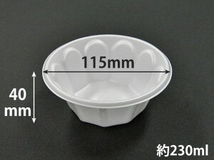 y4200/P[Xzĝėe eCNAEg PJbv w {̂̂ Ɩp Ǝ Hie Ae Xe 587