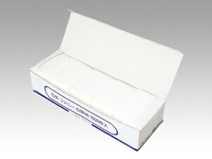 y10000z6b܃ivL  Xg[g ivL Ɩp 00300607 vXe