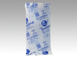 y10/oz~ ۗ Lb`N[ CH-100 ۗobO gCJpj[ 00339272 vXe