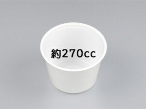 y2000/P[Xz ĝėe UFJbv270zCg{ V[s[ Ɩp Ǝ vX`bNJbv eCNAEg 384388