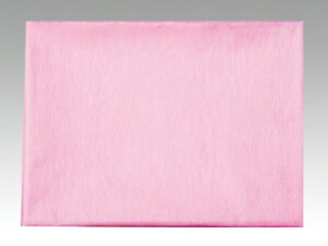 y10×120܁z C~ pXesN 75cm sDz bsO fBJ 00403456 vXe