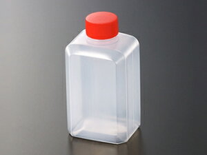 y750/P[XzeCNAEg ĝ ^e ^ ꍇ(D) w Ɩp Ǝ Wt Hie ^e 510121 vXe