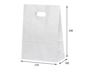 y500/P[Xz  C[Obv L n yweecoz pbN^P}  00519482 vXe