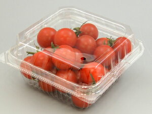 y100/oz~jg}gJbv VF-200 AP Hie ʗp ƍ^Cv vX`bN 00524848