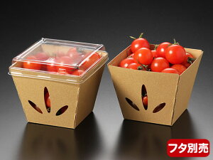 y200/P[XzA eCNAEg Ae ĝėe e[p[{bNX 44876 NyweecozpbNX^C100×100×78mm588642