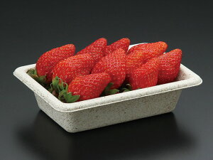 y50zGRe pv[h g[ NtgF WBoKXg[16-11 SDGs  e Hie \ 604004