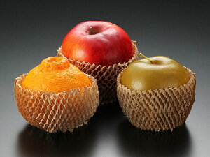 y1000/P[Xz t[cLbv N yweecoz pbNX^C ʕlbg ʎɏՍ 00610161