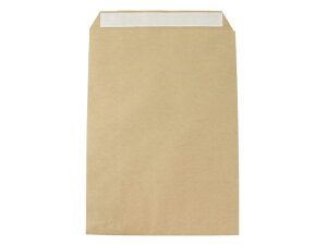 【200枚入/ケース】 宅配袋 宅配平袋 A3 宅配用 パックタケヤマ 紙袋 00636437 プロステ