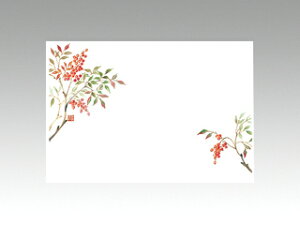 y100/oze[u}bg e[u}bg 3 No.257 V J~C\Y ĝ F 00113324 vXe