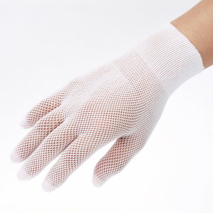 y100zNo.651 Ci[tBbgwt^Cv Tt[ 00340437 vXe