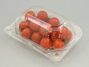 y1200/P[Xz~jg}gJbv eCNAEg AP-NA[t S 9H Hie ʗp ƍ^Cv 520578