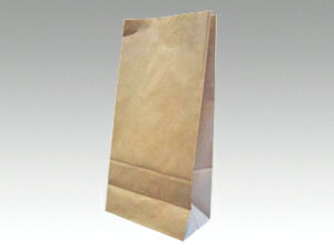 【100枚】角底袋 ハイバッグ H5 未晒無地 パックタケヤマ 紙袋 クラフト 00096201 プロステ