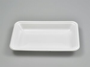 y100zg[ eCNAEg FLB-A13-25 W GtsR Ɩp Ǝ N  ĝ e 257732