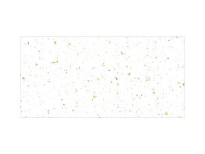 y1000_ze[u}bg u}bg No.4307 V̐  J~C\Y 00306869