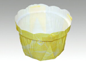 y2100(70×30)z َqe 쎆 t[|bg65JP aCG[ vXe