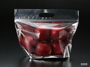 y500zPS PS`bNtX^h  pbNX^C   t[c  00563559 vXe