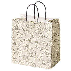 �y1�܁zBEP-2P �x���v�����c�y�[�p�[�o�b�O-2 50���� �w�b�Y 00692657 �v���X�e