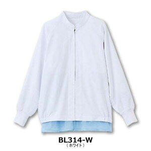 y1zHiHꔒ TjtH[ Wp[(zCg)SS 00748758 vXe