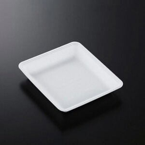 y900zg[CN20-23G -50 (L) w Ɩp Ǝ ėp  N y  X[p[ gC 304745