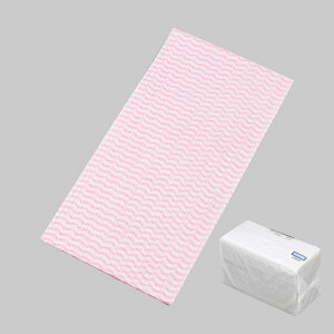 y900zJE^[NX(PINK) |E^Cv 00379239 vXe