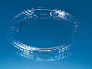 y1000zoCIJbv G250 TC 1P50 Ɩp Ǝ XpbN Ŵ 265157