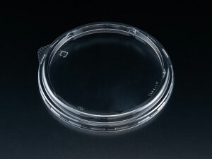 y900zoCIJbv 150pC FCVZ 1P50 Ɩp Ǝ XpbN Ŵ 265185