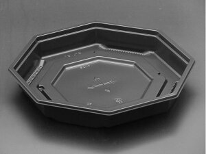 y50z ٓe XpbN V p20B  vXe